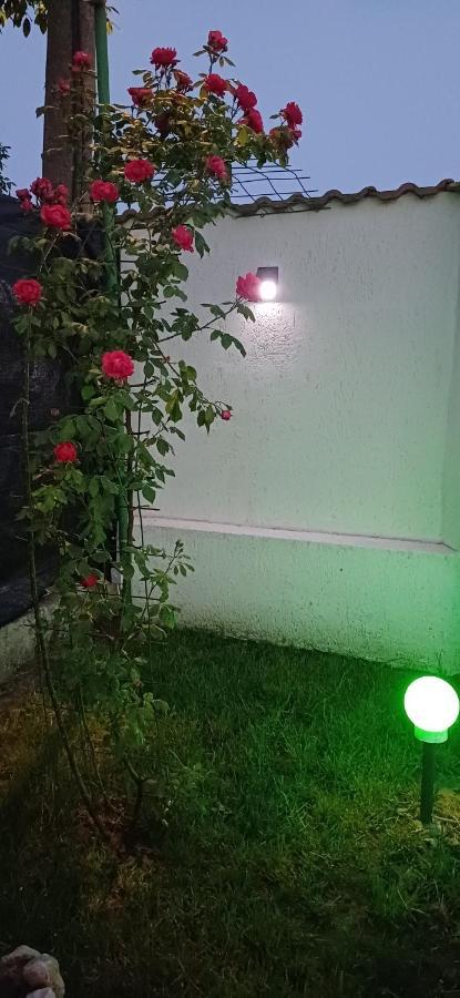 图兹拉 Casa Ella酒店 外观 照片
